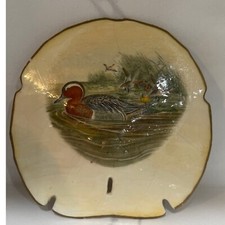 Large 5" Hand Painted Sand Dollar with mallard duck scene wall decor Seashell