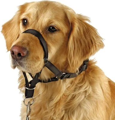 MARKENLOS Halti Headlar Non Pull Hundekopf Halsband für Training Verstellbares Hundehalter
