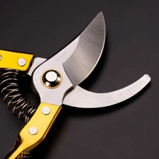 High Carbon Steel Golden Handle Garden Pruning Scissors
