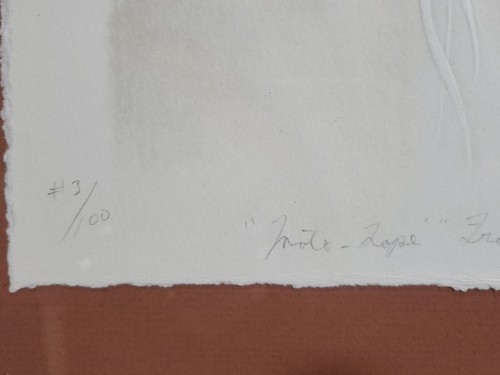 Guerrero en relieve firmado por Ed Morgan, impresión, enmarcado. 1982 3/100 - Imagen 3 de 13