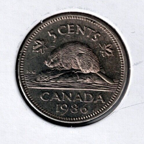 カナヘビ 1967 Canada 5 cents Coin Hare Rabbit Bunny Animal Wildlife
