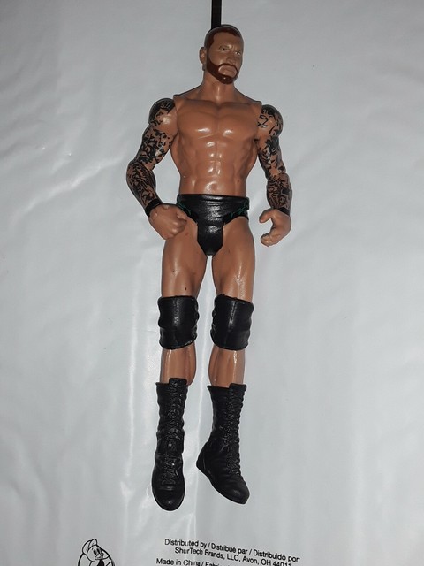 randy orton basic