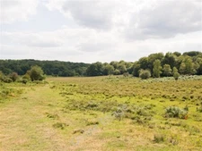 Photo 6x4 Mythical woodland in Howen Bottom Fritham This area is shown as c2009