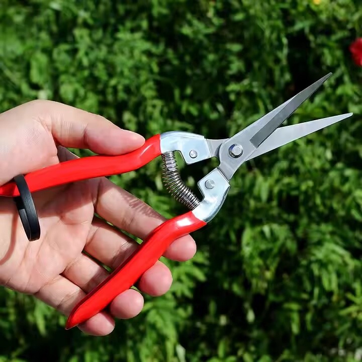 Secateurs Pruners Garden Pruning Shears Pruner Cutter Hand Tool Scissors 20cm
