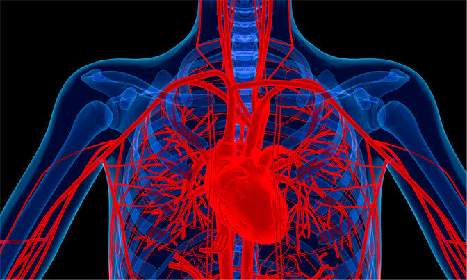 Dietary Supplement Blood Sugar Solution (1 Bottle)