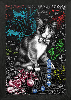 Katze studiert Schwerkraft B gerahmtes Wandbild Poster Leinwanddruck Bild