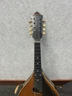 Picture 6 of 15