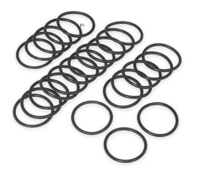 Sloan Replacement O Rings for Royal and Regal Flush Valves Pk24
