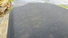 Picture 6 of 12