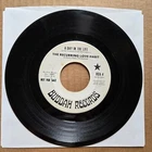 THE RECURRING LOVE HABIT A Day In The Life 45 7" Record Vinyl BEATLES PSYCH FUZZ