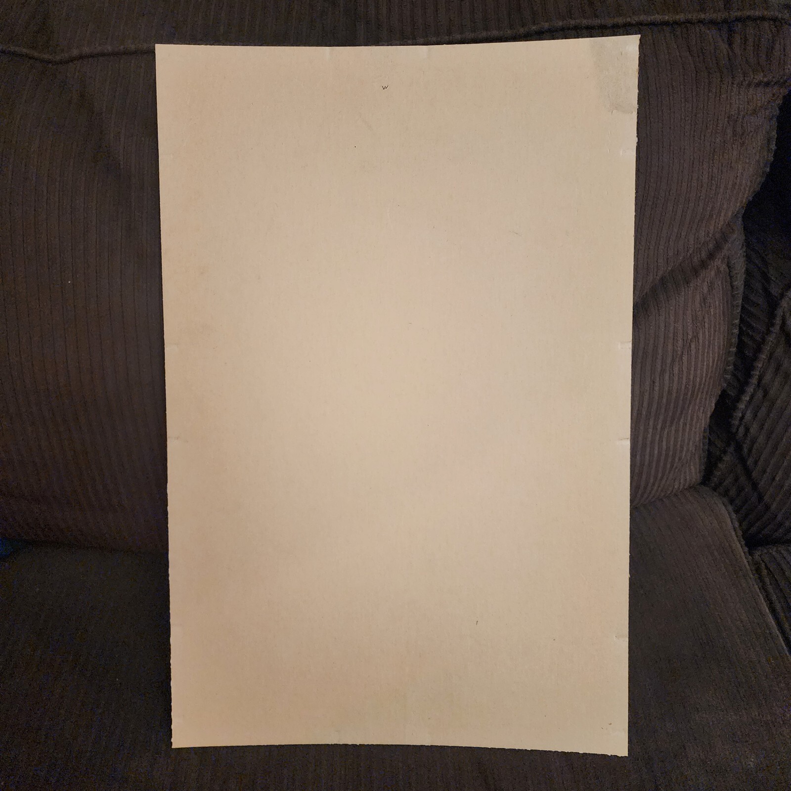 Picture 5 of 10