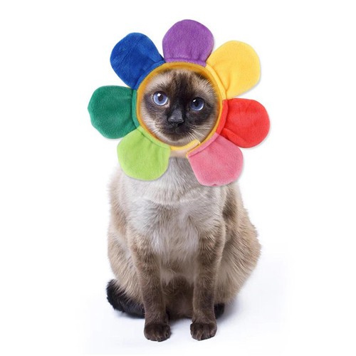 Pet Dog Flower Hat Costume Headwear For Halloween Christmas Cosplay - Picture 4 of 7