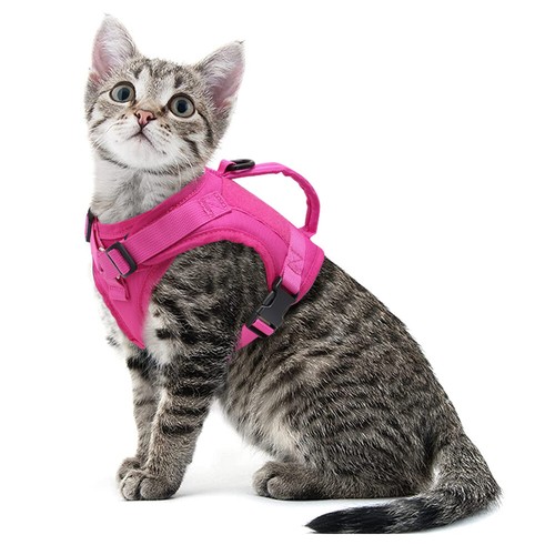 Imbracatura Tattica Rosa per Cani di Piccola Taglia XS No Pull Pet Cucciolo Gatto Gilet Militare - Foto 17 di 32