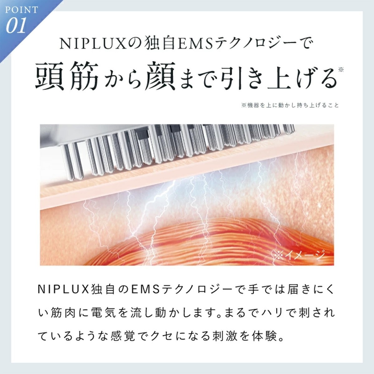 NIPLUX EMS LIFT BRUSH Scalp Facial Beauty Device Electric