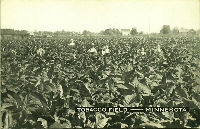 tobacco outlet waukesha Cigarette Depot ( Tobacco, Liquor & Vapor Store )