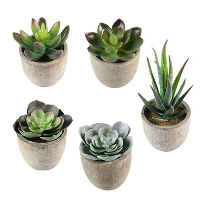 5 Pcs Pflanzen Künstlich Kunstlicher Gefälschte Sukkulente Kunststoff