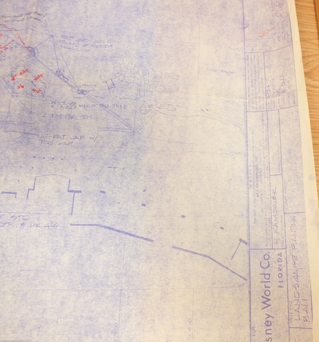 Walt Disney World Fantasyland Area Development Landscaping Plan Blueprints - 第 9/12 張圖片