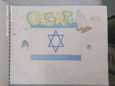 ORIGINAL Pencil / Charcoal Sketches Vintage Art Student Studies Israeli Flag