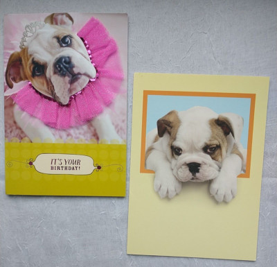 English Bull dog  Birthday Thank you Card Tutu Tiara Brown white Puppy Dog 2