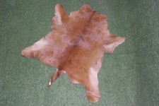 New Calfhide Rugs Area Cow Skin Leather Cowhide ULG 10039 5.75 sqr ft 
