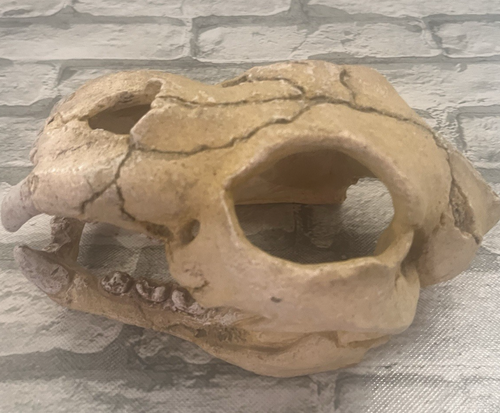 Dog Skull Halloween Decor Resin Skeleton Sculpture Animal Model Prop - Picture 8 of 11
