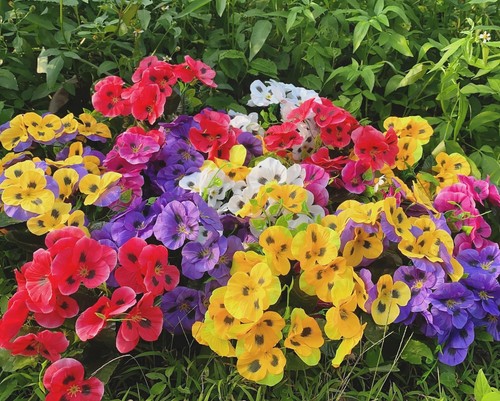 12 Bundles Artificial Pansy Flowers Faux Plastic Wild Flowers Bushes for Home... - Picture 4 of 7