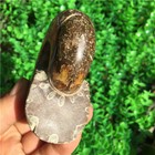 Foto 7 di 8