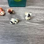 Foto 3 di 13