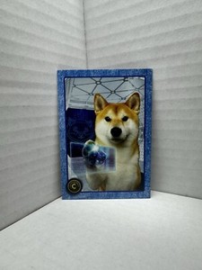 Shiba Inu Coin | eBay