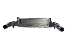 A2025001100 Radiator Intercooler Heat Exchanger Air/Air Mercedes Classe C