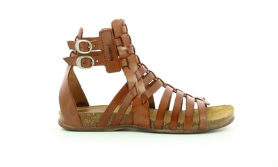 spartiates kickers pepita