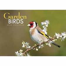 Garden Birds A4 Calendar 2023 Calendar Book The Fast Free Shipping