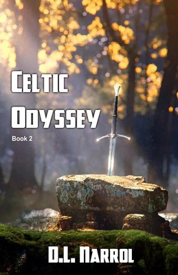D. L. Narrol | Celtic Odyssey | Taschenbuch | Englisch (2024) | Double Dragon