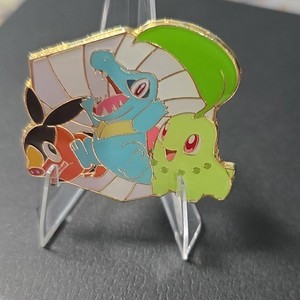 Ascended heroes pin