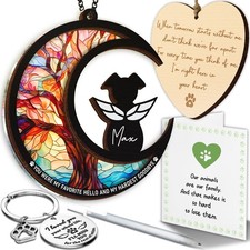 DIY Dog Memorial Suncatcher  4-in-1 Pet Sympathy Gifts Remembrance Set