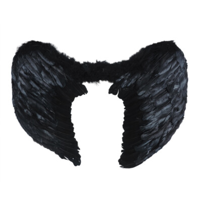 Black Feather Fallen Angel Wings LARP Cosplay 