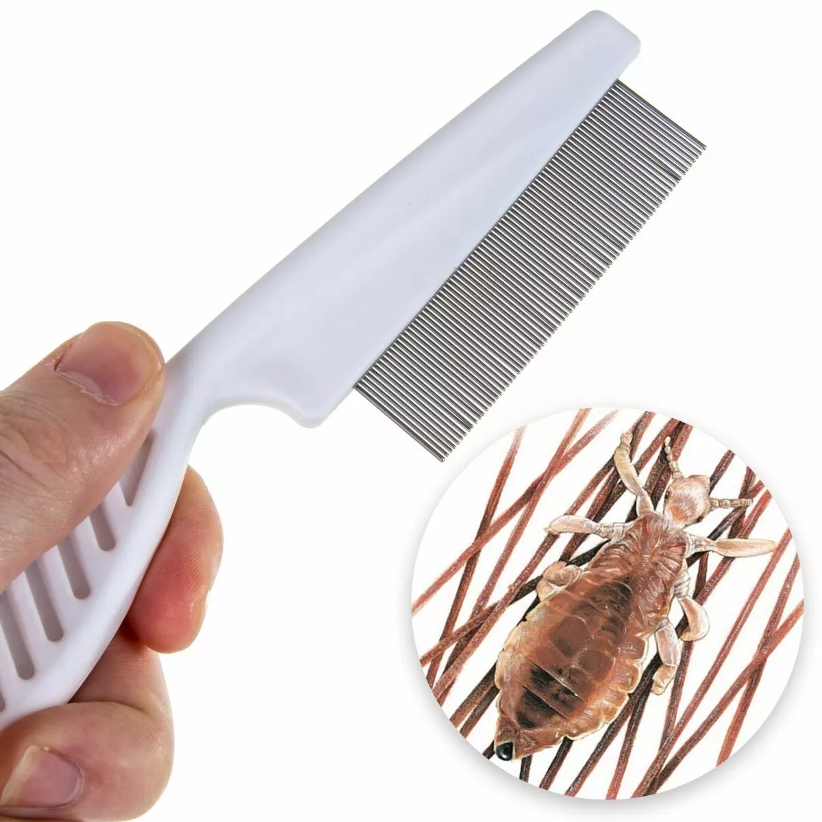 Lice egg comb deals