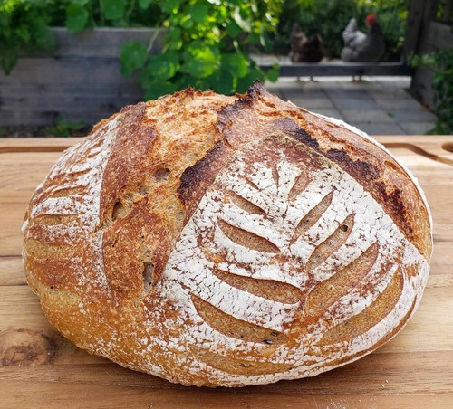 Arrancador de masa madre deshidratada Strong Sour San Francisco - Bolsa de 15 gramos - Imagen 23 de 24