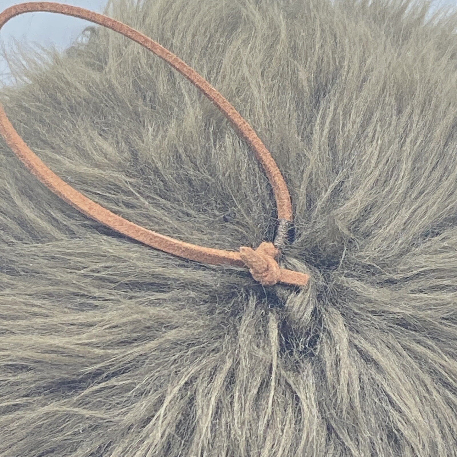 Picture 6 of 12