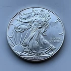 2013 American Silver Liberty Eagle One Dollar 1oz Bullion Coin