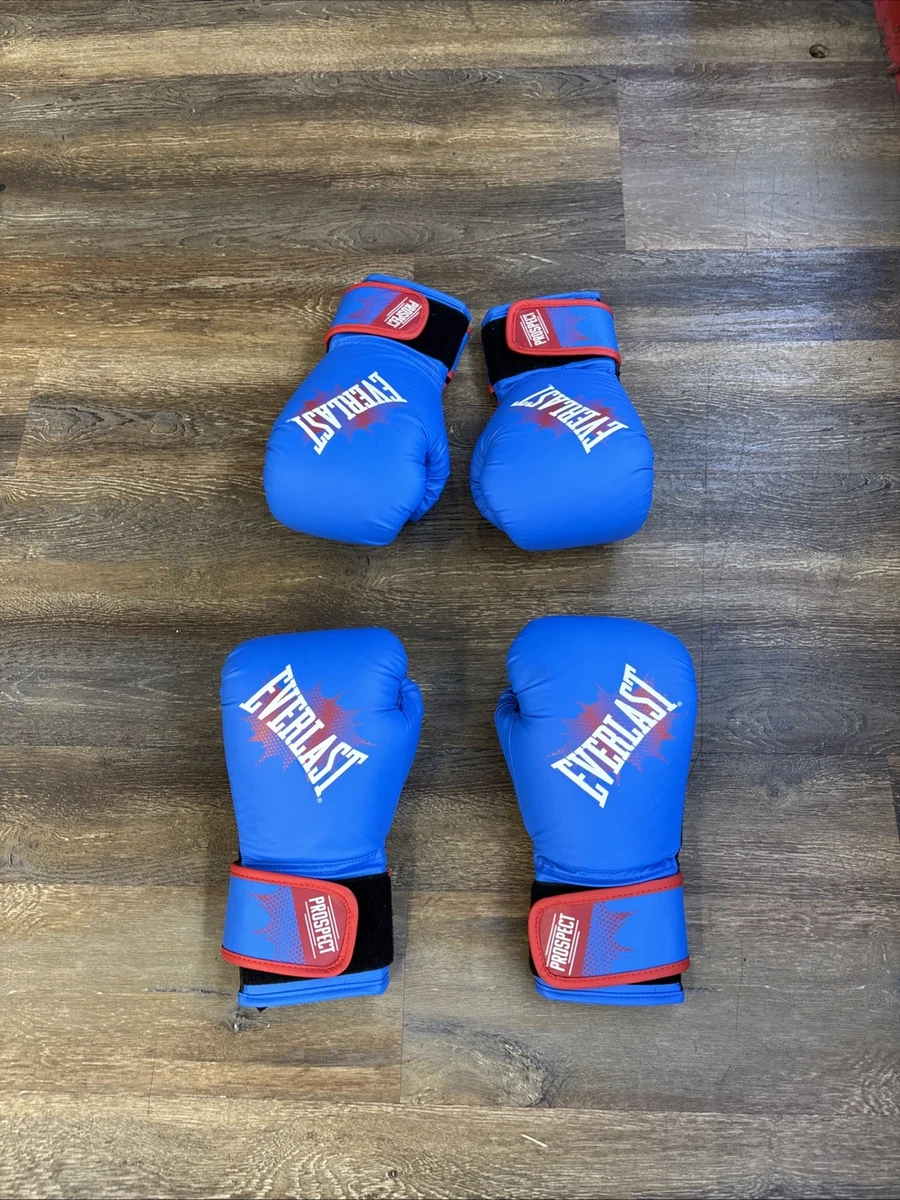 Everlast Blue 8 oz. Weight Boxing Gloves for sale | eBay