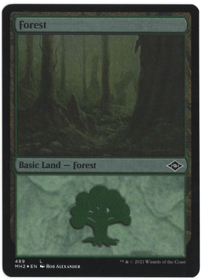 Forest - MTG - MH2 489 - ETCHED FOIL - EN - NM | eBay