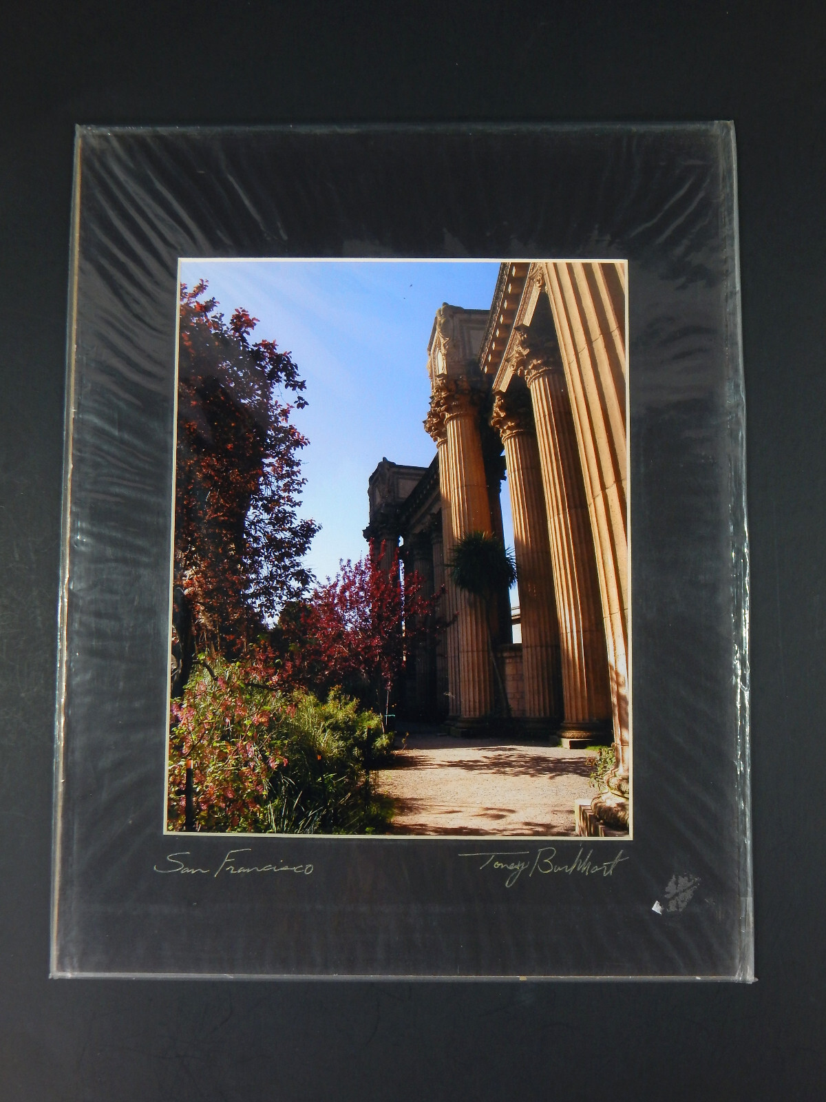 Picture 1 of 6