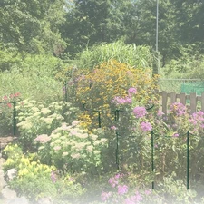 12 Pack Garden Plant Support Stakes, Half Round Peony Cages and Supports, Met...