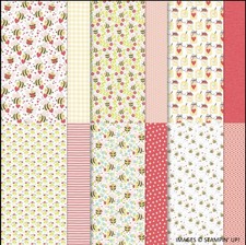 BEE MINE Designer Series Paper DSP Stampin Up 12x12 Full Pack 2607