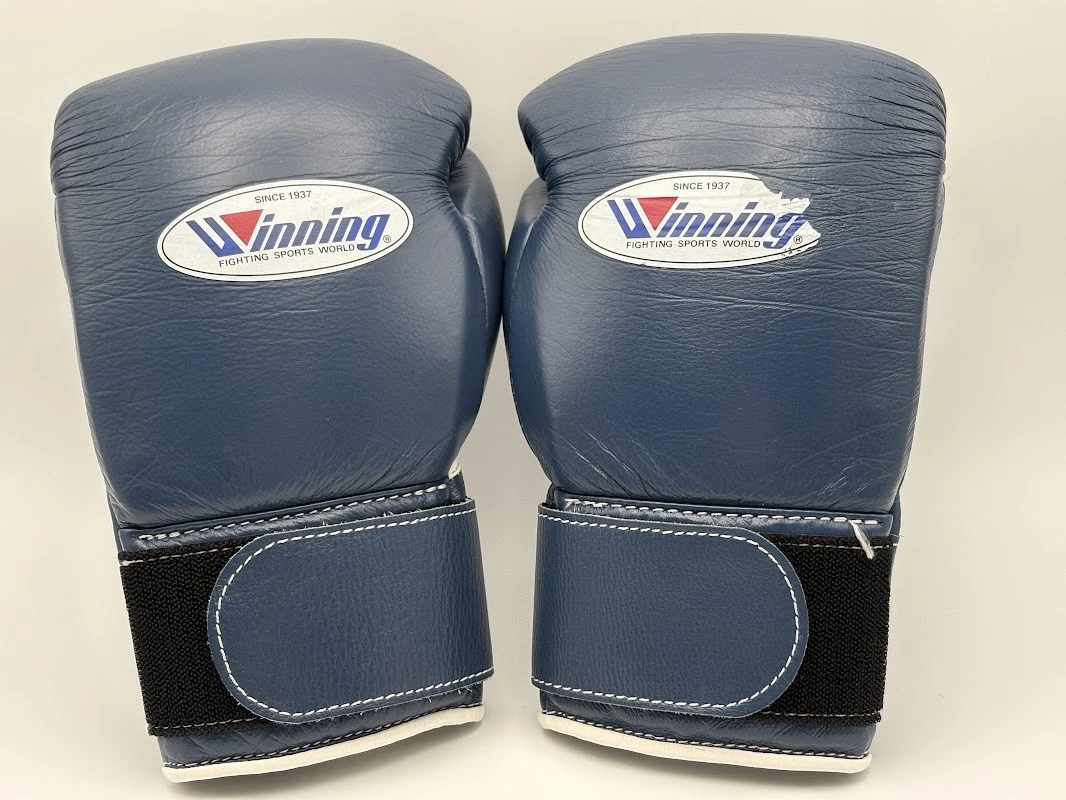 Winning 8 oz. Weight Boxing Gloves for sale | eBay