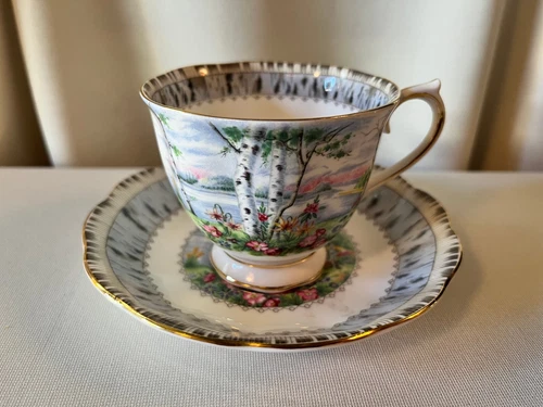 Vintage "Royal Albert" Bone China 'Silver Birch' Cup & Saucer