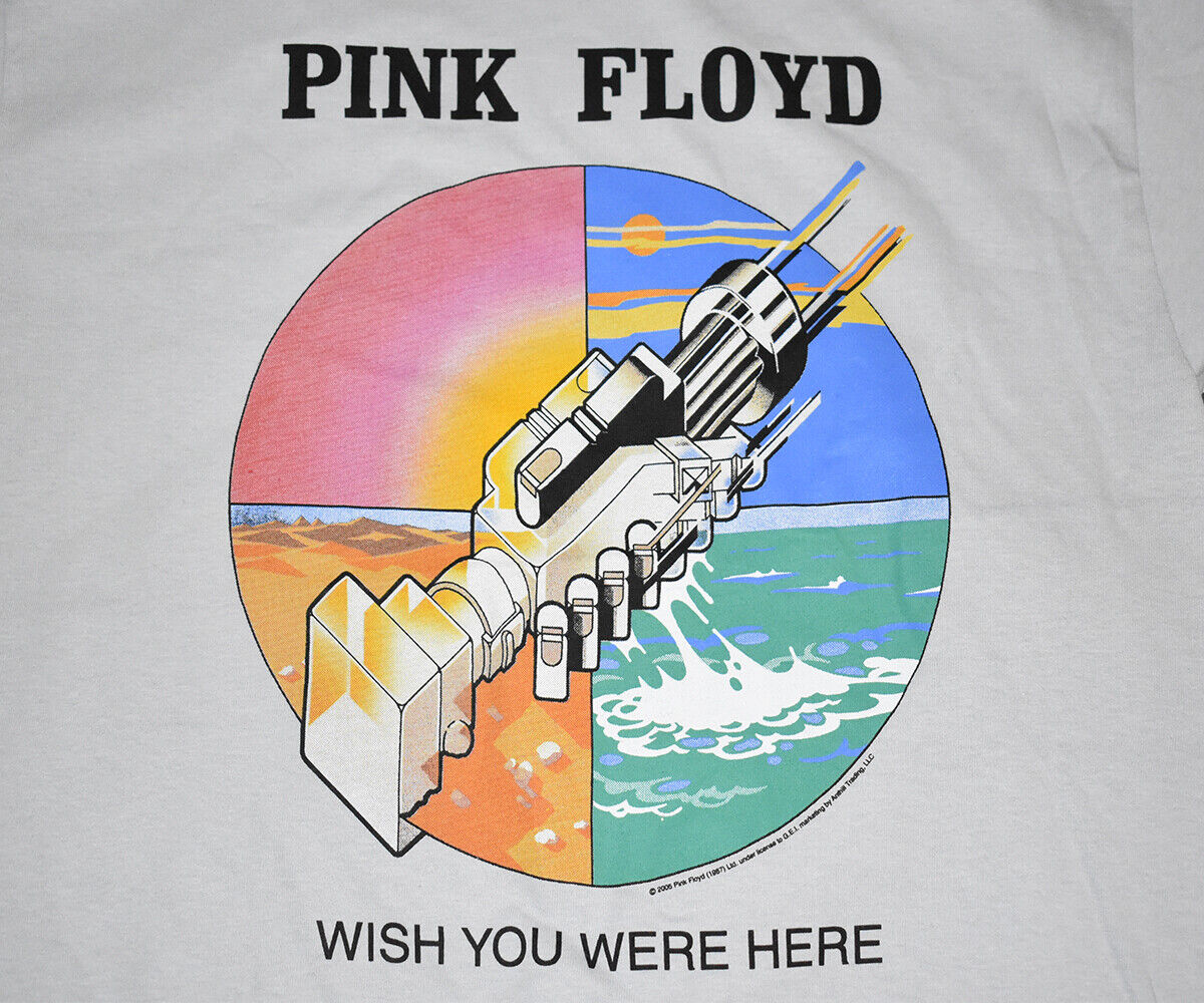 Pink Floyd - Wish You Were Here ( tradução português br legendado ) 