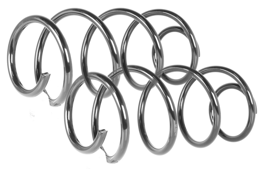 2x Coil Spring Front Right=Left GH-2039753