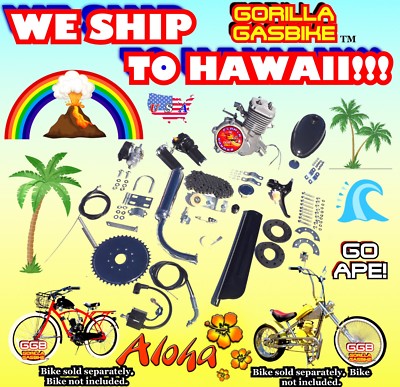 COMPLETE DIY 2-STROKE 66cc/80cc MOTORIZED BIKE KIT FOR BICYCLES